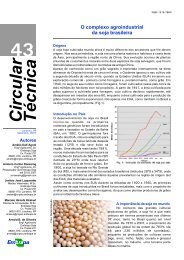 Circular técnica 43 - O complexo agroindustrial da ... - Embrapa Soja