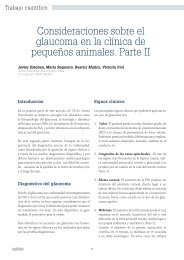 Consideraciones sobre el glaucoma en la clínica de pequeños ...