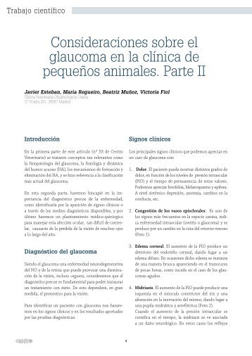 Consideraciones sobre el glaucoma en la clínica de pequeños ...