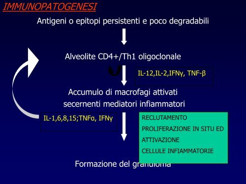 INTERSTIZIOPATIE POLMONARI - laprimapietra - Altervista