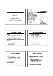 Légutak Gyulladások A bronchitisek típusai Macrobronchitisek ...