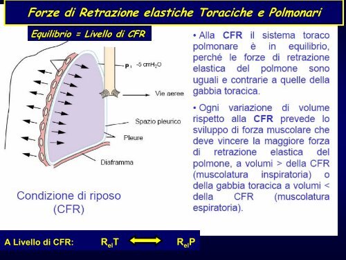 Introduzione – Anatomia funzionale – Sintomi respiratori - Medicina ...