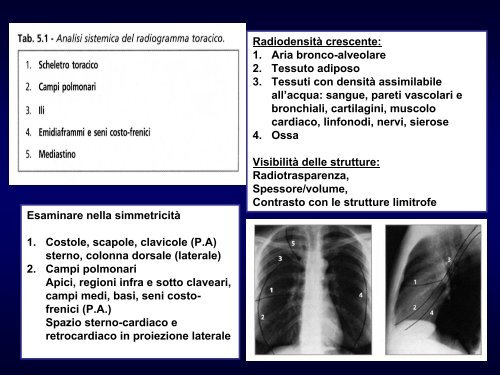 Introduzione – Anatomia funzionale – Sintomi respiratori - Medicina ...