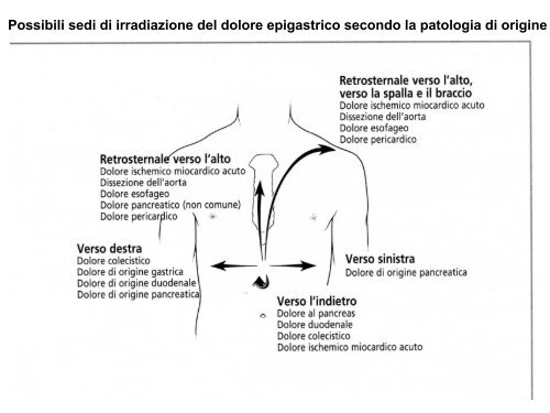 Introduzione – Anatomia funzionale – Sintomi respiratori - Medicina ...