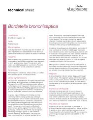 Bordetella bronchiseptica - Charles River Laboratories