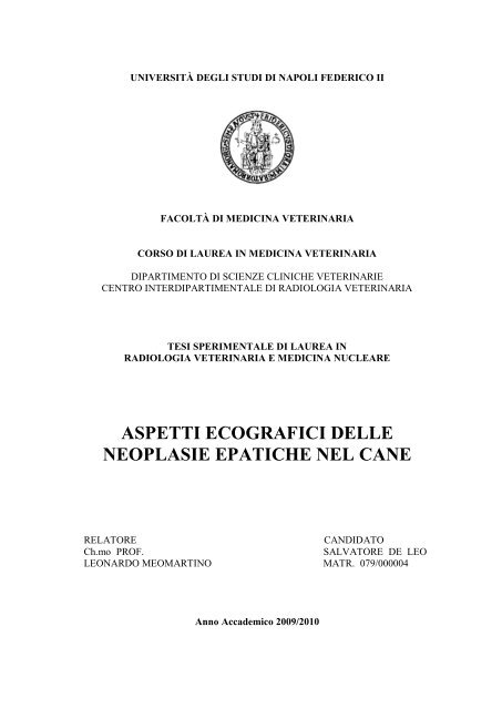 Aspetti Ecografici Delle Neoplasie Epatiche Nel Cane