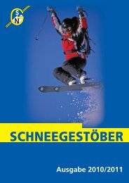 SCHNEEGESTÖBER - SGN