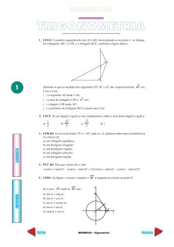 TRIGONOMETRIA - Matemática para Todos-Flash