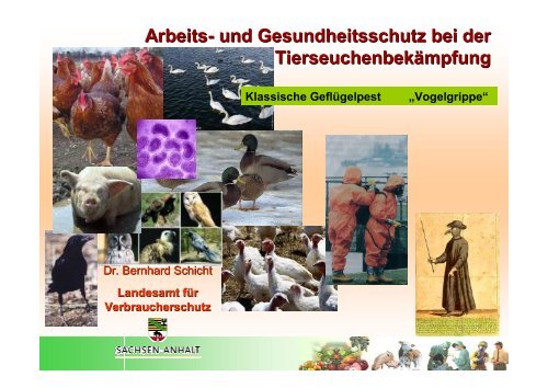 Arbeits- und Gesundheitsschutz bei der ... - Sidi Blume