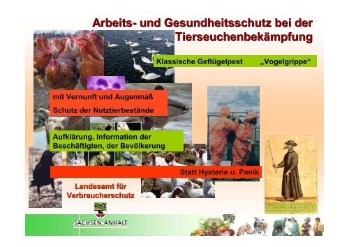 Arbeits- und Gesundheitsschutz bei der ... - Sidi Blume