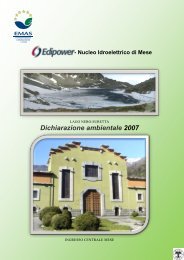 Dichiarazione ambientale 2007 - Edipower S.p.a.