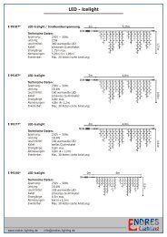 LED - Icelight - ENDRES Lighting Gmbh