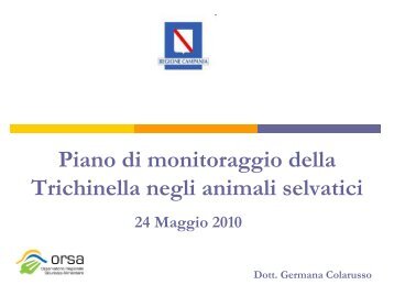 Scarica le slide di presentiazione del Piano Regionale della ...