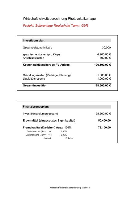 Investitionsplan und Wirtschaftlichkeitsberechnung