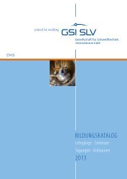 2013 BILDUNGSKATALOG - SLV Hannover