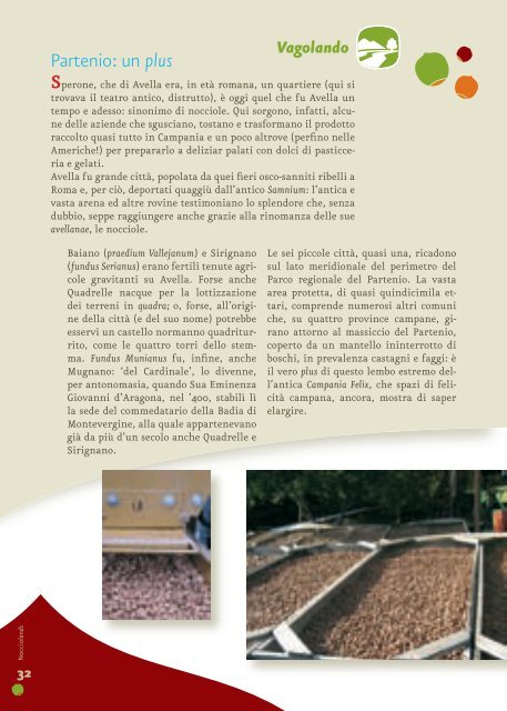 Nocciolands - Associazione Nazionale Città della Nocciola