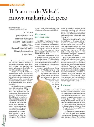 "cancro da Valsa", nuova malattia del pero ( PDF ... - Ermes Agricoltura