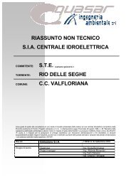 Riassunto non tecnico - Valutazione ambientale - Provincia ...