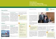 Informationsblatt zur geplanten Biogasanlage - April 2011