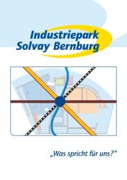„Was spricht für uns?“ - Solvay in Deutschland