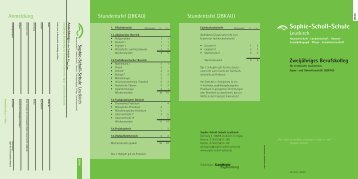 Infoprospekt (PDF, 84 KB) - Sophie-Scholl-Schule Leutkirch