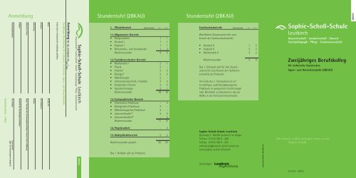 Infoprospekt (PDF, 84 KB) - Sophie-Scholl-Schule Leutkirch