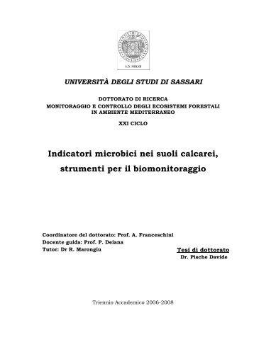 TESI DOTTORATO PISCHE DAVIDE - Università degli Studi di Sassari