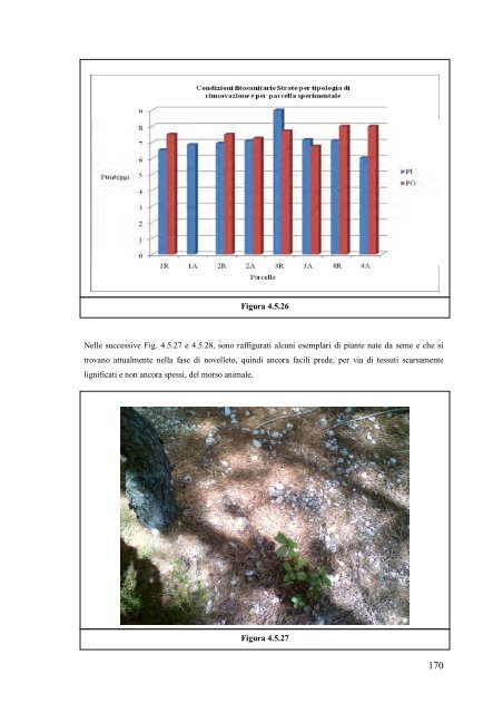 dottorato di ricerca titolo tesi - UniCA Eprints - Università degli studi ...