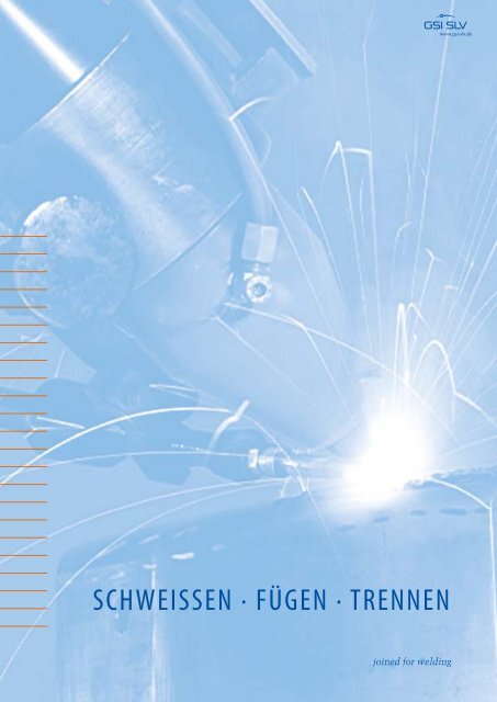 2011 BILDUNGSKATALOG - SLV Duisburg