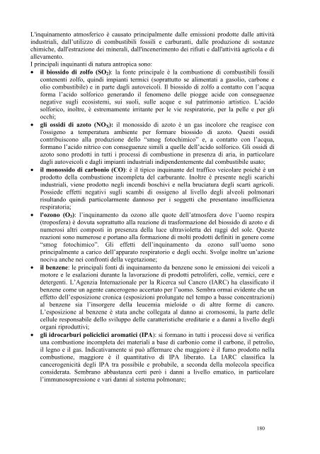 1° Rapporto sullo Stato dell'Ambiente del Comune di ... - PUCG