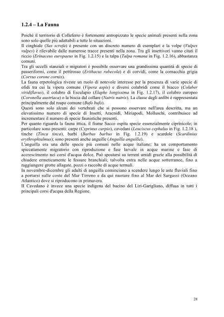 1° Rapporto sullo Stato dell'Ambiente del Comune di ... - PUCG