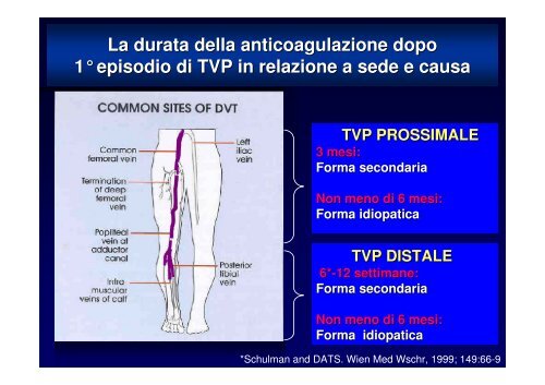 terapia della trombosi venosa profonda in acuto e cronico