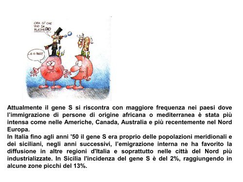 Scuola Primaria G. Falcone: Sangue