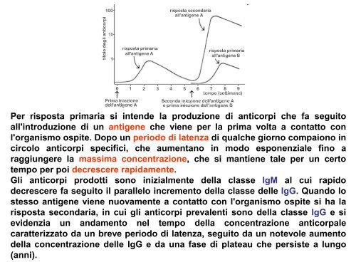 Scuola Primaria G. Falcone: Sangue