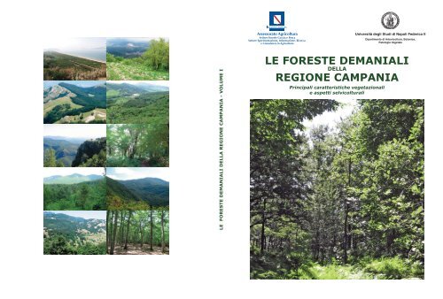 Scarica il file - Regione Campania