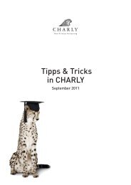 Tipps & Tricks in CHARLY