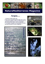 Magazine - Natura Mediterraneo