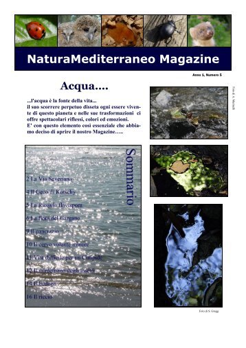 Magazine - Natura Mediterraneo