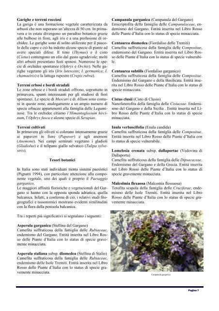 Magazine - Natura Mediterraneo