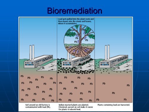 Human Impact on Earth Resources—Chapter Resources Chapter 27