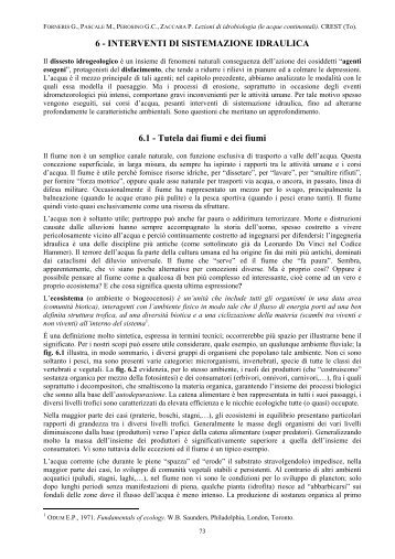 6 - INTERVENTI DI SISTEMAZIONE IDRAULICA 6.1 ... - C.R.E.S.T.