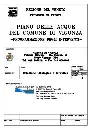 RE02 - Relazione idrologica e idraulica - Comune di Vigonza