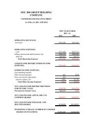 SOU 300 GROUP HOLDING COMPANY