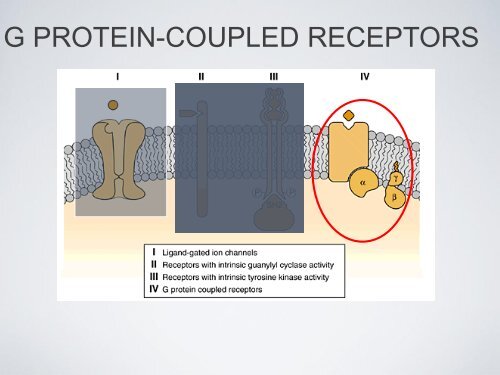 Recettori accoppiati a Proteine-G (GPCR) - ctf novara