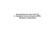 8 : Recettori tirosin chinasici (RTK): Struttura e attivazione