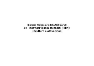 8 : Recettori tirosin chinasici (RTK): Struttura e attivazione