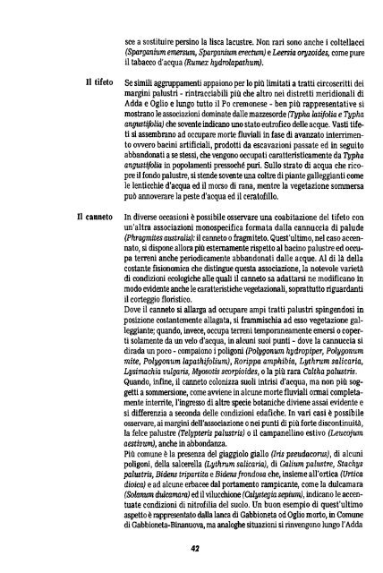 Scarica il numero in pdf - Biblioteca digitale - Provincia di Cremona