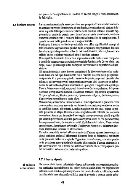 Scarica il numero in pdf - Biblioteca digitale - Provincia di Cremona