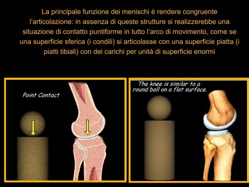 Inquadramento anatomo-funzionale del ginocchio