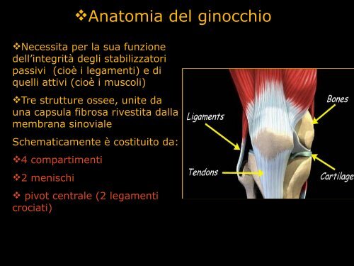 Inquadramento anatomo-funzionale del ginocchio